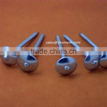 zinc plated umbrella head roofing nails