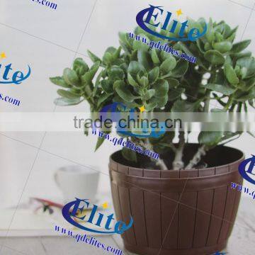 Chinese Porcelain Vases photo-5