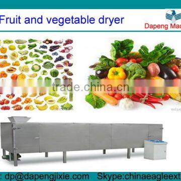 Fruit and vegetable dryer/electric fruit dryer/electric vegetable dryer/vacuum dryer for fruit and vegetable