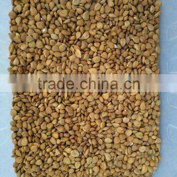 5340 Pixel 2 Chutes Almond Color Sorter/ccd Camera Color Sorting Machine Suppliers photo-5