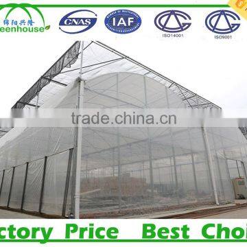 Low Cost 100,150,200 micron Tunnel Multi Span Plastic Film Agricultural Commercial Greenhouse