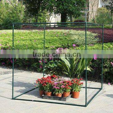 home garden greenhouse crops in UK market