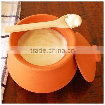 Terracotta Yogurt Pot