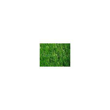 Monofilament PE  Artificial Football Turf  with 3/4 Inches Gauge