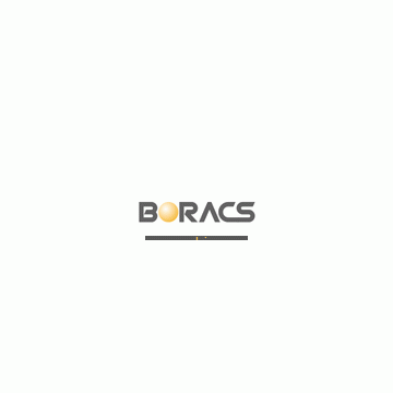 Shanghai Boracs Logistics Equipment Manufacturing Co., Ltd.