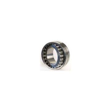 INAspherical roller bearing