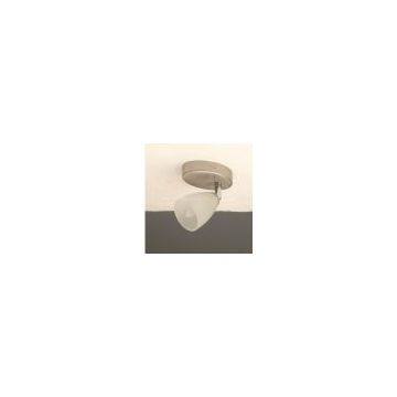 Celling lamp/SPOT LAMP/drop light/WALL LAMP /home lighting/lamp/home lamp/office lamp/decorative lamp/desk lamp/tabel lamp
