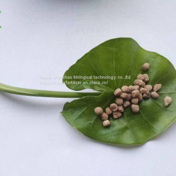 NPK SOP Base Based Water Soluble Fertilizer photo-5