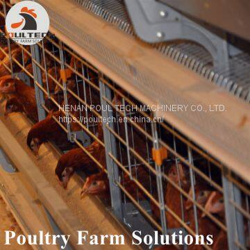H Type Layer Chicken Chicken Cage With Full Automatic Equipment for 50000 Birds