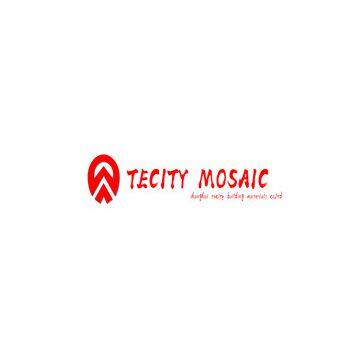 Shanghai Tecity building materials co.,ltd