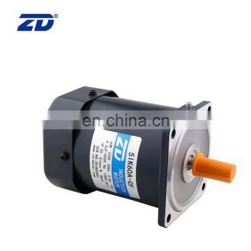 ZD 60W AC Single Phase 220V Induction Gear Motor for Face Mask Making Machine 5IK60GN-C/5GN7.5K photo-3