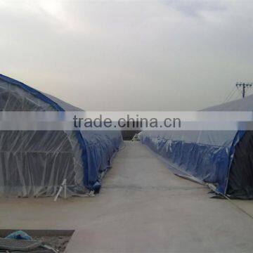 plastic film for greenhouse Professional plastic film for greenhouse with low price