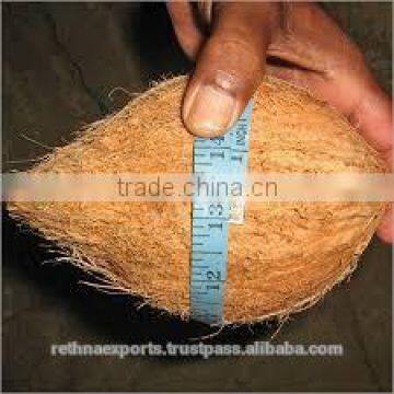 Fresh Premium Coconut Product