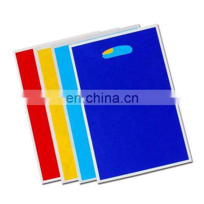 Made in China Custom Plastic Shopping Bag