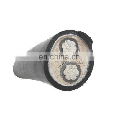 2 core xlpe power cable 2x10 mm2 China power cable