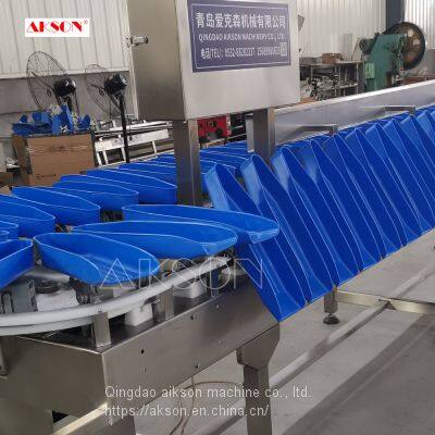 Weight Sorter Machine for Fish photo-4