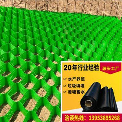 TGGS100-400 Perforated Honeycomb Geogrid Mixed Retaining Wall for Stabilizing Highway Subgrade photo-4