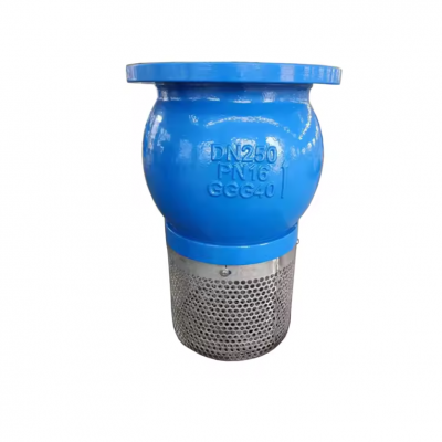 Multi-standard JIS 10k ANSI 150lb BS PN10 DIN Standard PN16 Flange Bottom Valve 304 Mesh 4 Inch Bottom Valve for Water Pipelines