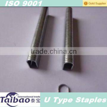 TR-D staple Spring fastener for sofa