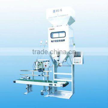 DCS-25K Double High-speed Electronic Quantitative Packaging Scale