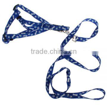 Pet leash and collars nylon