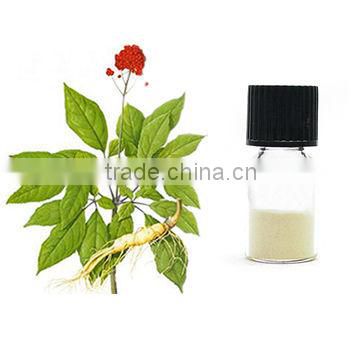 Top Quality Ginsenosides Panax Ginseng Extract/ Herbal Medicine