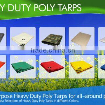 10'X10' MEDIUM DUTY TARP GREEN/BROWN/Blue/White/Orange Poly Tarps,12mil Tarps