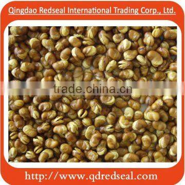 2016 superior quality delicious fried broad beans for sale