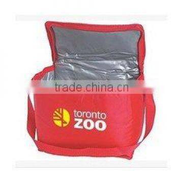 Pp woven foldable custom insulated cooler promotional cooler bag