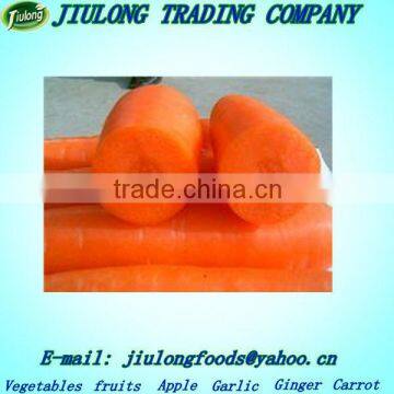 Local Fresh Natural Carrot Seeds
