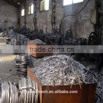 Common Nails from FACTORY