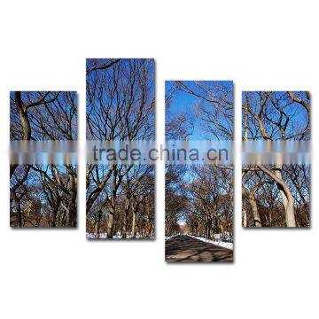 Bare tree branches cotton canvas prints for wall decor