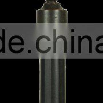 Hausen Hot Sale High Quality 100w Outside Garden Lights