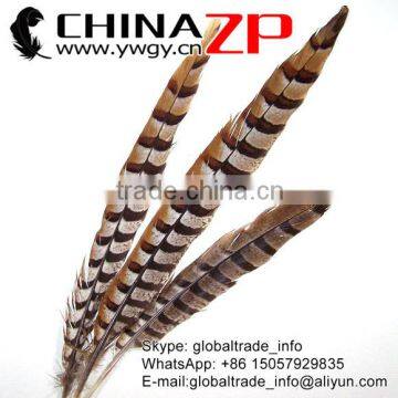 ZPDECOR Wholesale Top Selling Raw 45-50cm Size Reeves Venery Pheasant Tail Feathers for Decorations photo-5
