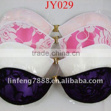 2013 New Sexy Girl Lace bra (JY029)