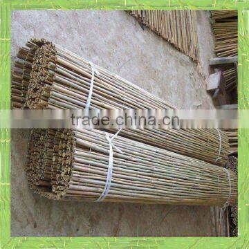 Drilled bamboo fence