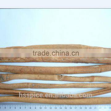 25 cm Cinnamon photo-1