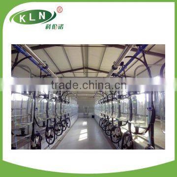 Fish-bone type large scale milking equipment for sale