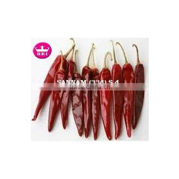 Byadgi Chillies in Red