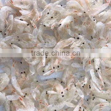 Good Quality Baby Dried Shrimp for Thailand