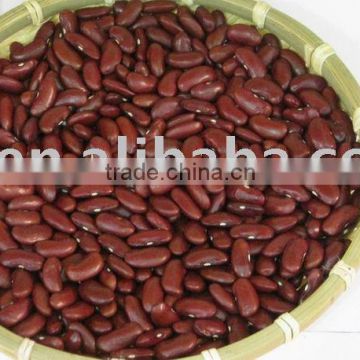 British type red kidney bean(655)