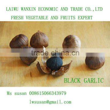 black garlic single bulb garlic