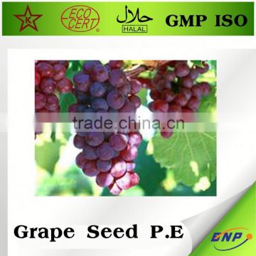 grape seed & soybean soft capsule