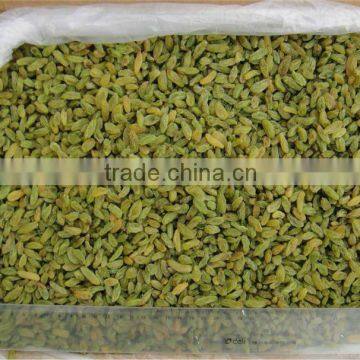 raisin ,chinese best green raisin