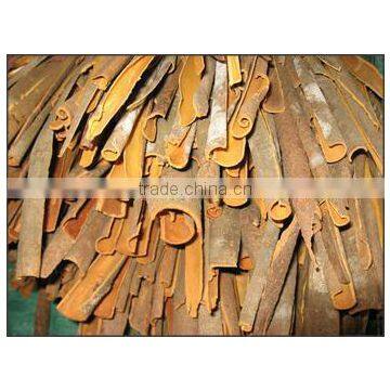 Split Cassia - premium quality