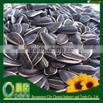 Round Shape Striped Raw American Bulk Sunflower Seeds 1121