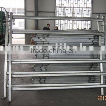 cattle panels'