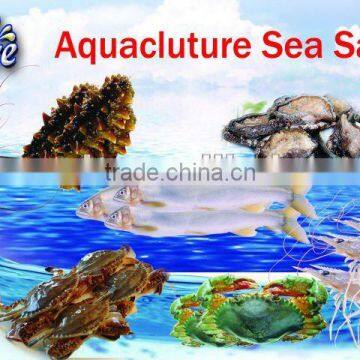 Aquaculture Sea food Fish Farming Aquarium Sea Salt