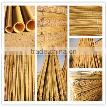 bamboo poles /cane china supplier