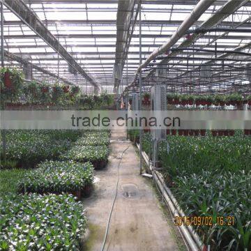 Multi Span Green House With Climate Control and Cooling Pads photo-2